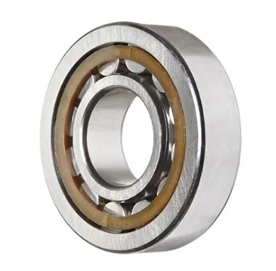 Cylindrical Roller Bearings